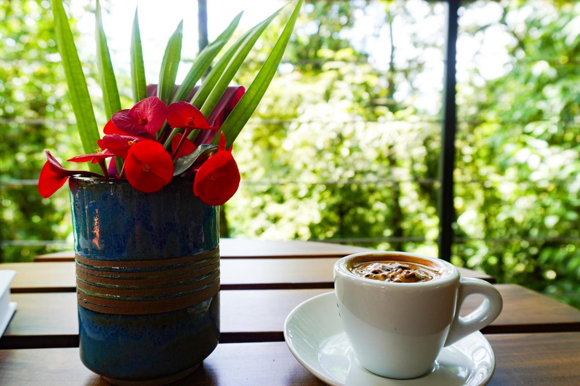 Sueno Rio Celeste Boutique B&B Bijagua Εξωτερικό φωτογραφία